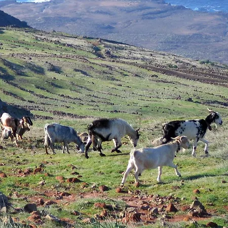Lacasadelchorro